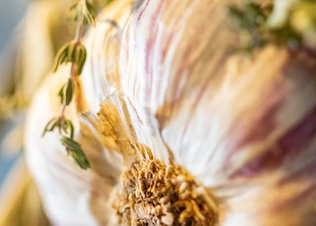 Close of a clove of garlic