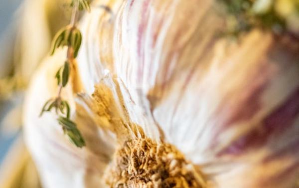 Close of a clove of garlic